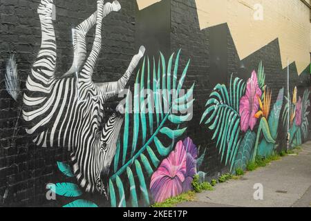 Zebra Street Art, Northcote, Melbourne, Victoria, Australia Foto Stock