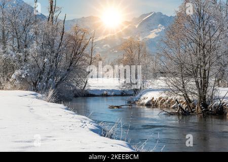 Frost und EIS an einem Fluss im Winter Foto Stock