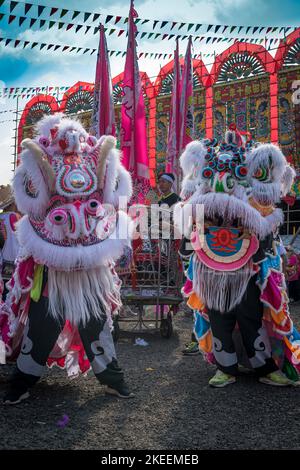 I ballerini leoni preparano i loro elaborati e colorati burattini per una performance al decennale da Jiu festival, Kam Tin, New Territories, Hong Kong, 2015 Foto Stock