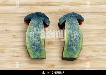 Due metà del fungo commestibile Neoboletus luridiformis, comunemente noto come scarletina bolete. Tutte le parti del fungo diventano blu immediatamente una volta tagliate. Foto Stock