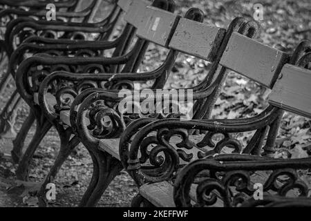 Panchine del parco Cismigiu - Bucarest, Romania Foto Stock