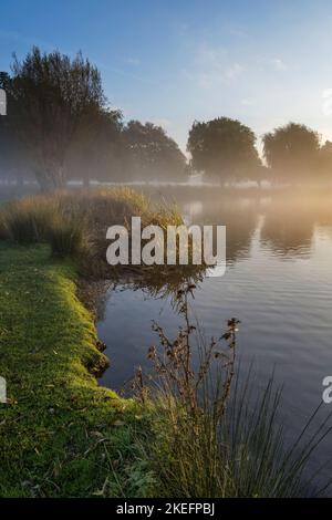 Novembre clima mite guardando sopra gli stagni nebbiosa a Bushy Park nel Surrey UK Foto Stock