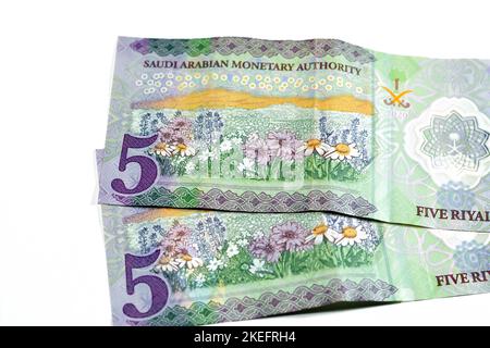 Retro del nuovo polimero 5 SAR cinque Arabia Saudita riyals cash money banconote serie 1441 AH 2020 presenta un campo di fiori, selettivo foc Foto Stock