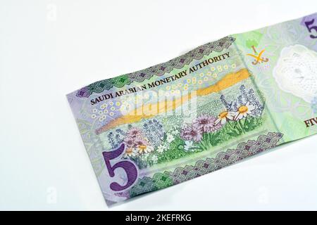 Retro del nuovo polimero 5 SAR cinque Arabia Saudita riyals cash money banconote serie 1441 AH 2020 presenta un campo di fiori, selettivo foc Foto Stock