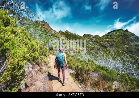 Descrizione: Escursionista con zaino a piedi attraverso una foresta panoramica di alberi morti nel pomeriggio. Verade do Pico Ruivo, Isola di Madeira, Portogallo, Europ Foto Stock