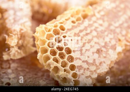 Un pezzo di nido d'ape con miele liquido Foto Stock