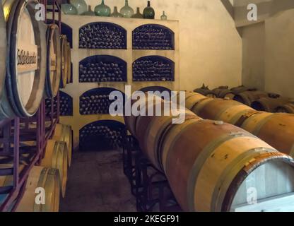 Barili e bottiglie di vino in una cantina in Spagna Foto Stock