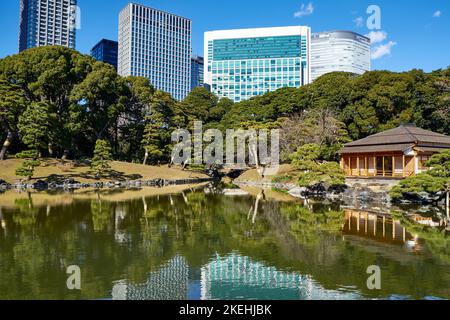 Vista sul giardino hamarikyu, simbolo di Tokyo, con grattacieli moderni e tradizionale casa da tè giapponese che si riflette su un laghetto Foto Stock