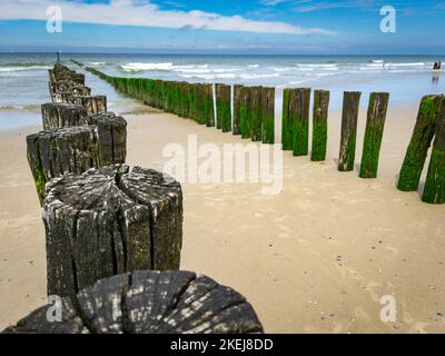 Vecchie travi di legno lasciate dal molo su una bellissima spiaggia Foto Stock