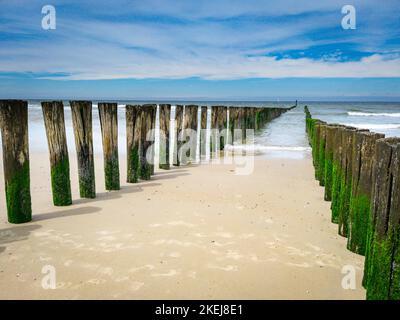 Vecchie travi di legno lasciate dal molo su una bellissima spiaggia Foto Stock