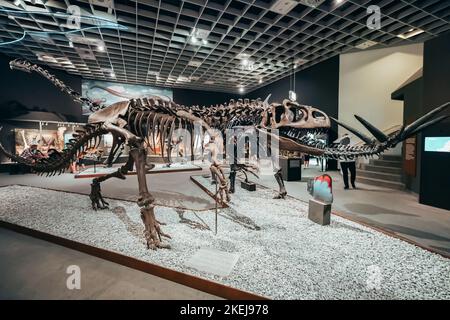 26 luglio 2022, Munster Natural History Museum, Germania: Mostra di terrificanti scheletri di dinosauro del periodo giurassico e cretaceo Foto Stock