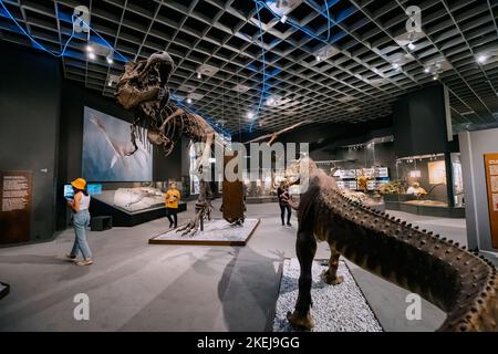 26 luglio 2022, Munster Natural History Museum, Germania: Mostra di terrificanti scheletri di dinosauro tirannosauro del periodo giurassico e cretaceo Foto Stock