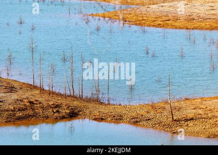 Bassi livelli del serbatoio dell'acqua. Clima secco. Mancanza di acqua. Alberi morti. Cambiamento climatico e riscaldamento globale. Inquinamento ecologico di disaster. Acqua. Foto Stock