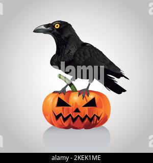 Illustrazione di haloween e zucca disegnata a mano. Raven e zucca. Corvo con vettore cranio. Halloween. Raven su un cranio rotto. Illustrazione Vettoriale