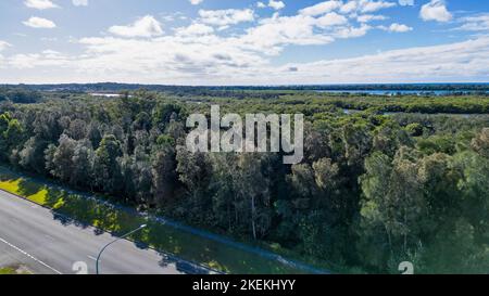 Vista aerea di una strada vicino alla riva del mare vicino a Settlement Point circondato da lussureggianti alberi verdi Port Macquarie, NSW Foto Stock