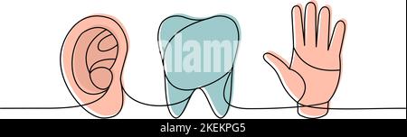 Set di organi umani disegno continuo a una linea colorata. Dente, orecchio, mano continua colorata una linea illustrazione. Illustrazione lineare vettoriale. Illustrazione Vettoriale