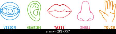 Cinque sensi umani. Icone di visione, olfatto, udito, tatto, gusto. Organi sensoriali umani. Icone occhi, naso, orecchie, mani, bocca. Illustrazione Vettoriale