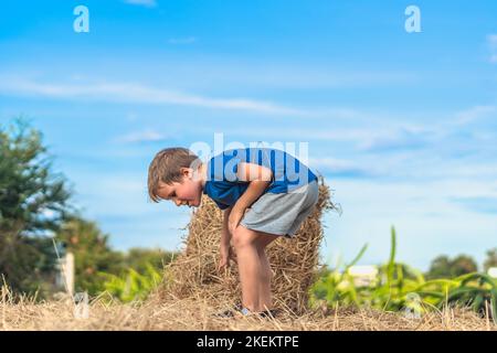 Ragazzo blu t-shirt sorriso giocare curioso sorpreso guardare giù balle di fieno fieno fieno, cielo chiaro sole giorno. Attività ricreative estive all'aperto per bambini. Concetto Foto Stock