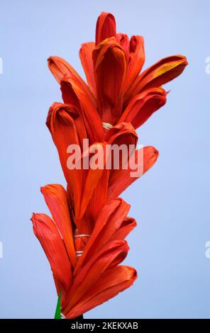 Fiori artificiali colorati fatti a mano da artigiani in India. Foto Stock