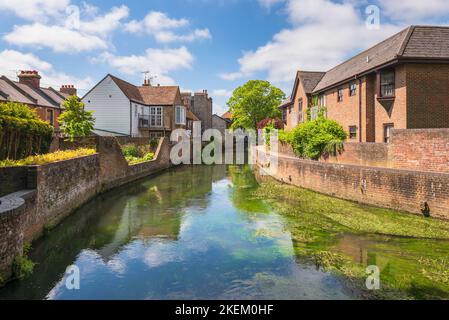 La vista del fiume Stour a Canterbury, Kent. Foto Stock