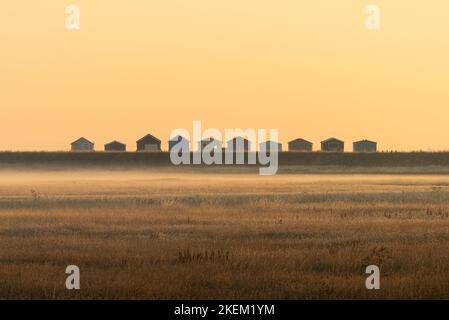 Fila di tradizionali capanne da pesca sulla costa settentrionale del Kent a Seasalter Foto Stock