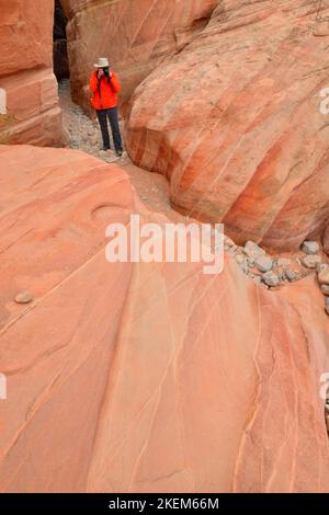 Escursionista sulla Cupola Bianca trail, la Valle del Fuoco del parco statale, Nevada, STATI UNITI D'AMERICA Foto Stock