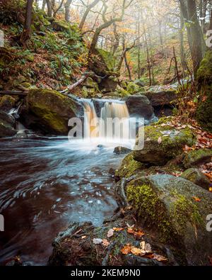 Una cascata nella gola di Padley, presa su una mattina di autunno misty. Foto Stock