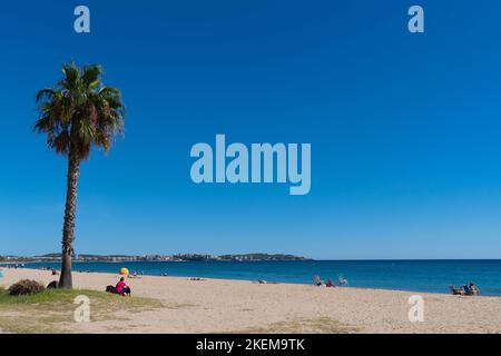 Vilafortuny spiaggia Cambrils Spagna con vista sulle palme Salou Costa Dorada Catalonia Foto Stock