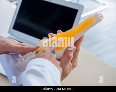 Il modello dei legamenti del ginocchio che tiene e punta dalle mani del medico, consigliante dallo specialista maschio adulto al medico giovane femminile vicino al laptop. Due medici t Foto Stock