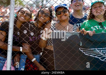 San Paolo, Brasile. 13th Nov 2022. Fan, F1 Gran Premio del Brasile all'Autodromo Jose Carlos Pace il 13 novembre 2022 a Sao Paulo, Brasile. (Foto da ALTO DUE) Credit: dpa/Alamy Live News Foto Stock