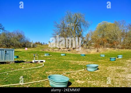 Valle improvvisata del bestiame, segno di pastore di pecore, villaggio abbandonato di Gruorn, ex area di addestramento militare di Münsingen, Albo Svevo, Germania. Foto Stock