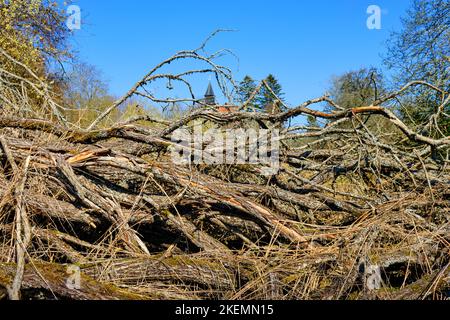 Strutture di vegetazione incontaminata e chiesa villaggio sullo sfondo, villaggio desertico di Gruorn, ex Münsingen zona di addestramento militare, Germania. Foto Stock