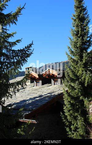 Tipico tetto alpino in legno svizzero con copertura in ardesia di pietra e sempreverdi alpini davanti. Tipico chalet svizzero con tetto e facciata Foto Stock