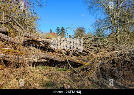 Strutture di vegetazione incontaminata e chiesa villaggio sullo sfondo, villaggio desertico di Gruorn, ex Münsingen zona di addestramento militare, Germania. Foto Stock