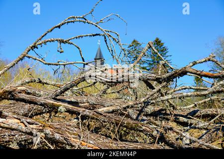 Strutture di vegetazione incontaminata e chiesa villaggio sullo sfondo, villaggio desertico di Gruorn, ex Münsingen zona di addestramento militare, Germania. Foto Stock