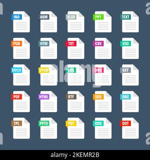 Formati file di sistema comuni. Tipi di documento ed estensioni. Collezione icone stile piatto. Pittogramma del documento, elemento dell'interfaccia utente del disegno Web, modello. Computer Illustrazione Vettoriale