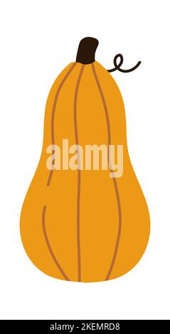 Raccolta autunnale. Zucca illustrazione accogliente. Stampa flat vettoriale di ringraziamento Illustrazione Vettoriale