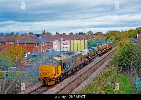 Classe 37401 Mary Queen of Scots sul retro del treno Rail Head Treatment al Crighton Avenue Bridge, York, Inghilterra Foto Stock