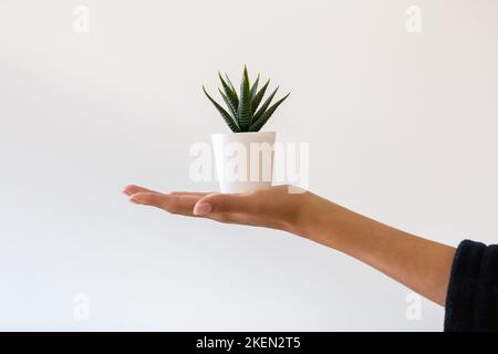 Primo piano della mano di una giovane donna che tiene in casa una pianta di plastica Foto Stock