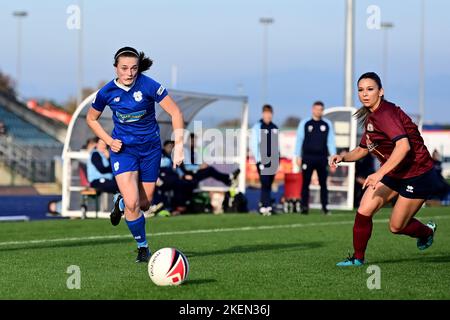 Cardiff, Regno Unito. 13th Nov 2022. Prezzo Ffnon della città di Cardiff - credito obbligatorio per linea: Ashley Crowden/Alamy Live News Foto Stock