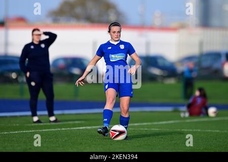 Cardiff, Regno Unito. 13th Nov 2022. Prezzo Ffnon della città di Cardiff - credito obbligatorio per linea: Ashley Crowden/Alamy Live News Foto Stock