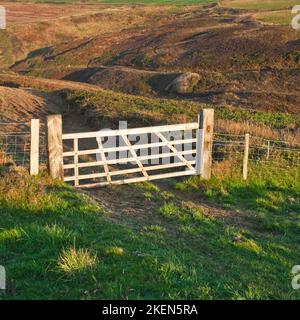 Vicino al Marloes Pembrokeshire Coast National Park (National Trust) Wales UK Foto Stock