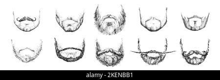 Una serie di diverse barbe disegnate a mano Illustrazione Vettoriale