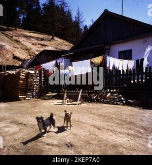RUS, Unione Sovietica, Mosca: Impressioni dall'URSS 1972. Siberia, Lago Baikal Foto Stock
