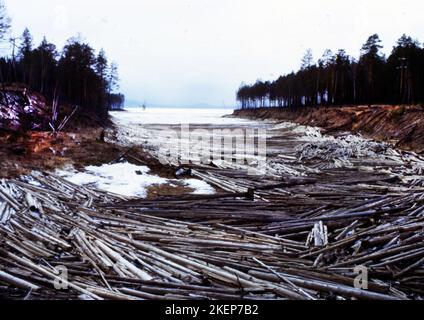 RUS, Unione Sovietica, Mosca: Impressioni dall'URSS 1972. Siberia .cattiva gestione. Legno marcio sull'Angara Foto Stock