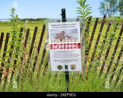 Non immettere il cartello in corrispondenza di specie minacciate, piping plover nidificazione area. Montrose Beach, Chicago, Illinois. Foto Stock