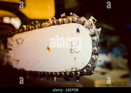 Catena della motosega sul primo piano dello pneumatico. Denti di sega per il taglio del legno su uno sfondo sfocato. Attrezzo agricolo Foto Stock