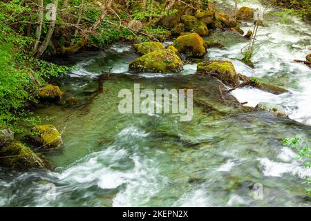 fiume in montagna, meraviglioso paesaggio primaverile Foto Stock