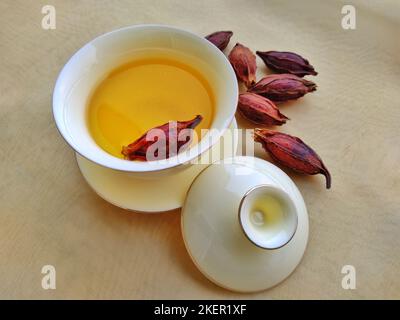 gardenia (Gardenia jasminoides) in tazza da tè cinese Foto Stock
