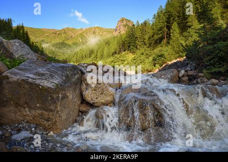 Ruscello di montagna nelle alte montagne. Creek che scorre sulle rocce. Potente letto di fiume nelle Alpi. Foto Stock